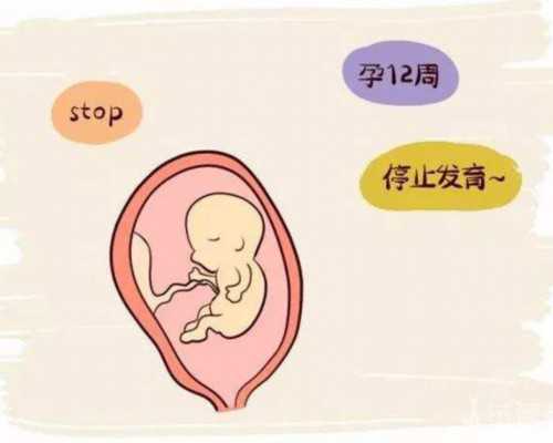 北京助孕机构大全,北京协和生殖中心创始人来株坐诊，市中心医院三重助孕壕
