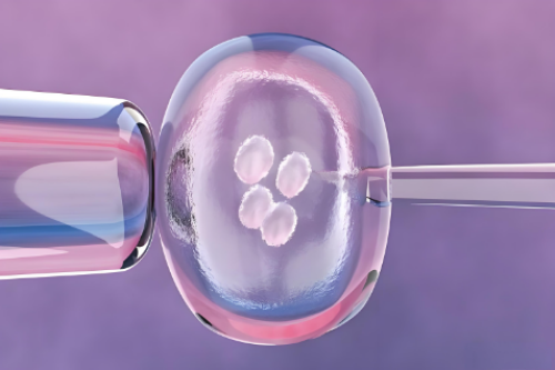 吕进峰重庆爱心代妈 2026重庆市试管婴儿医院费用一览表,附试管助孕费用花费