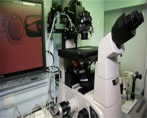 50万找私人重庆代妈 重庆试管婴儿医院中西南医院和市妇幼哪个技术更好？ ‘