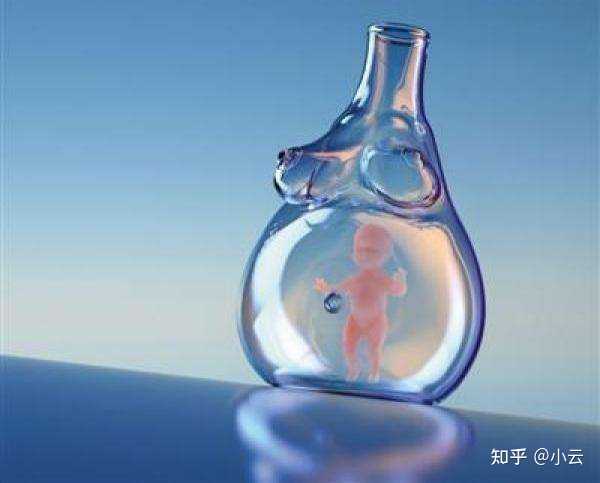 上海捐卵多少钱,上海捐卵试管有无风险